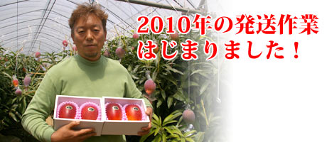 ２０１０年の発送作業始まりました！