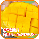 産地直送！完熟ぺっぴんマンゴー