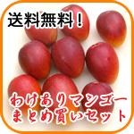 わけありマンゴーまとめ買いセット