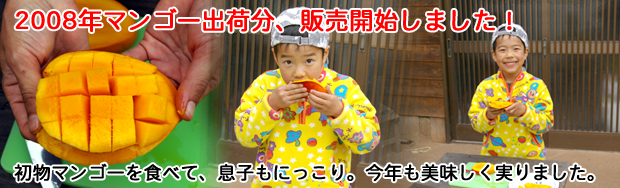2008年分予約開始
