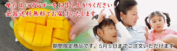 ゴールデンウィーク、母の日にマンゴーをお召し上がりください