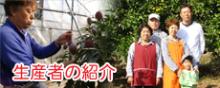 生産者紹介