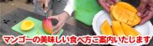 マンゴーの美味しい食べ方