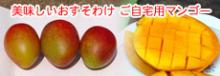 ご自宅用マンゴー