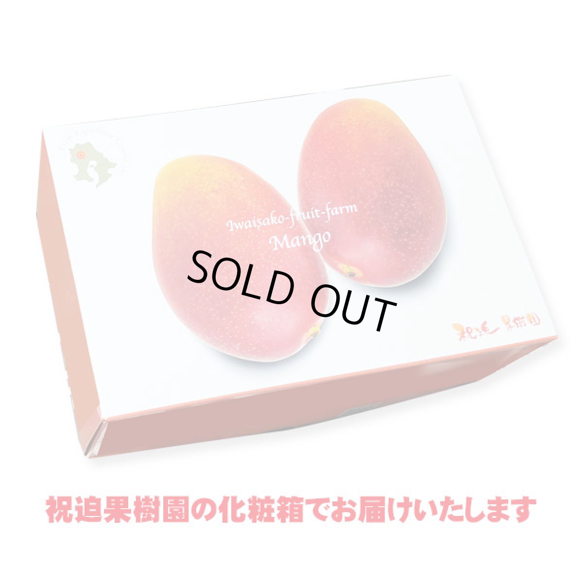 画像3: 産地直送！完熟べっぴんマンゴー 化粧箱入り2個玉 (3)