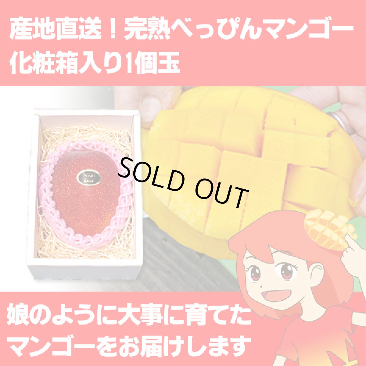 画像1: 産地直送！完熟べっぴんマンゴー 化粧箱入り1個玉 (1)