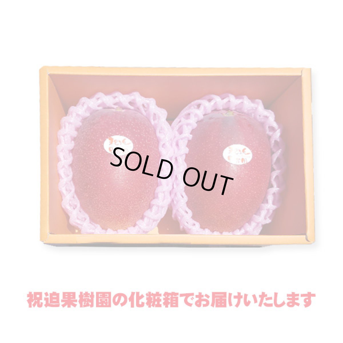 画像2: 産地直送！完熟べっぴんマンゴー 化粧箱入り2個玉 (2)