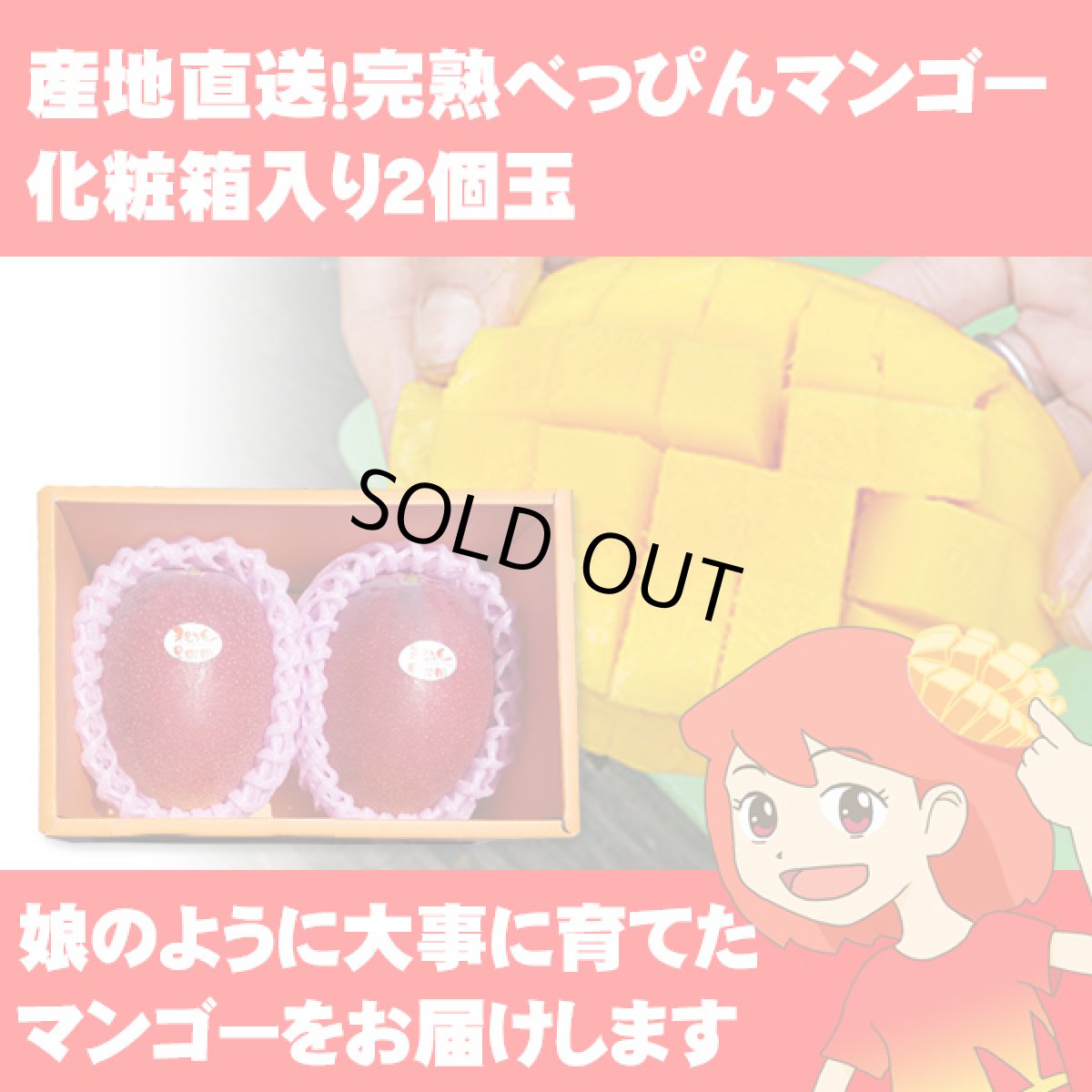 画像1: 産地直送！完熟べっぴんマンゴー 化粧箱入り2個玉 (1)