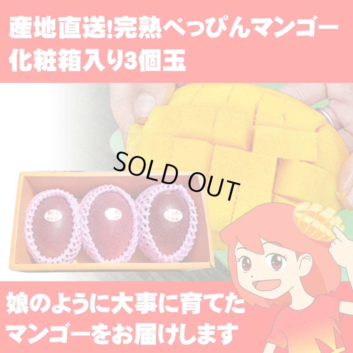 画像1: 産地直送！完熟べっぴんマンゴー 化粧箱入り3個玉 (1)