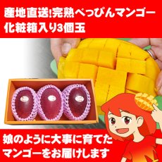 画像1: 産地直送！完熟べっぴんマンゴー 化粧箱入り3個玉 (1)