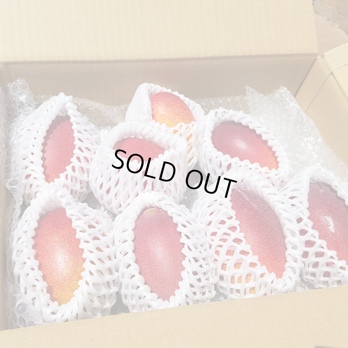 画像2: 【特別企画商品★数量限定★送料無料】わけありマンゴーまとめ買いセット (2)