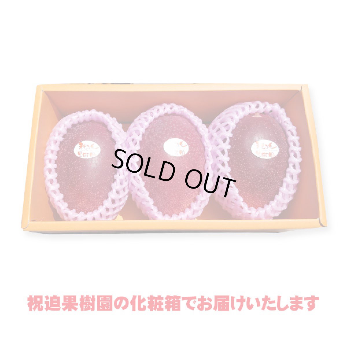 画像2: 産地直送！完熟べっぴんマンゴー 化粧箱入り3個玉 (2)