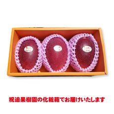 画像2: 産地直送！完熟べっぴんマンゴー 化粧箱入り3個玉 (2)