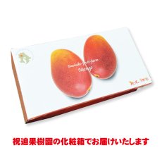 画像3: 産地直送！完熟べっぴんマンゴー 化粧箱入り3個玉 (3)