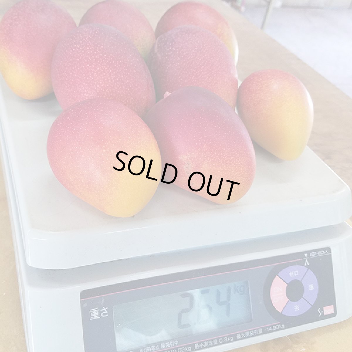 画像3: 【特別企画商品★数量限定★送料無料】わけありマンゴーまとめ買いセット (3)