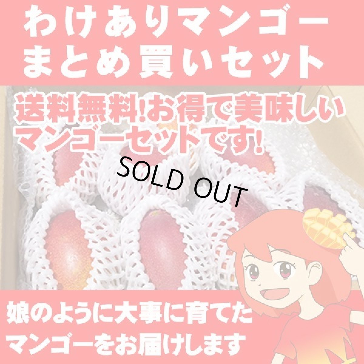 画像1: 送料無料　わけありマンゴーまとめ買いセット (1)