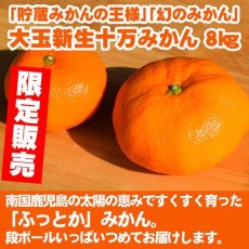 画像2: 限定販売　大玉新生十万みかん8kg (2)