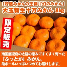 画像1: 限定販売　大玉新生十万みかん8kg (1)