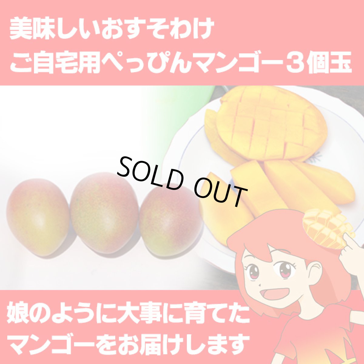 画像1: 美味しいおすそわけ ご自宅用ぺっぴんマンゴー3個玉 (1)