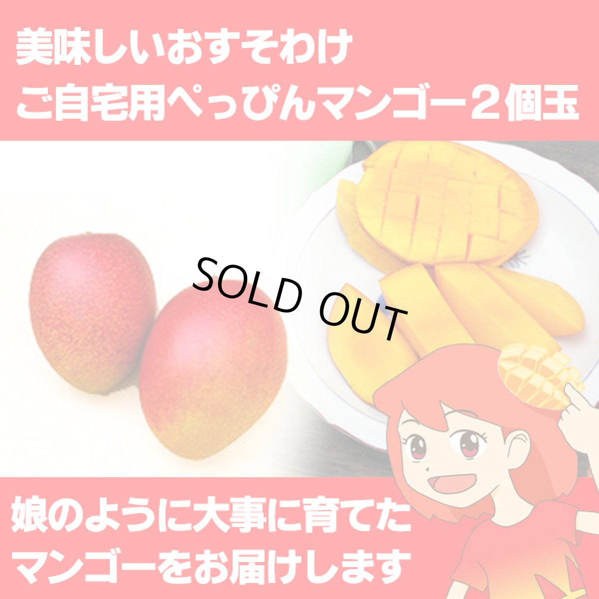 画像1: 美味しいおすそわけ ご自宅用ぺっぴんマンゴー2個玉 (1)