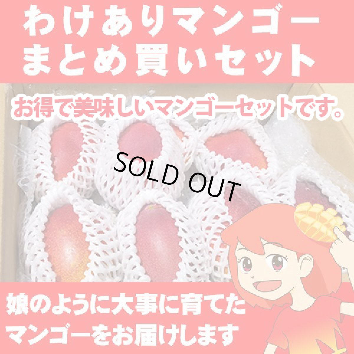 画像1: 【特別企画商品★数量限定★送料無料】わけありマンゴーまとめ買いセット (1)