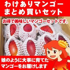 画像1: わけありマンゴーまとめ買いセット (1)