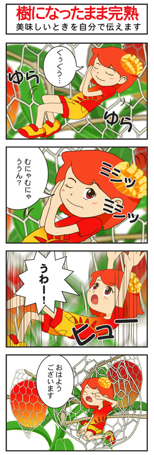 いわいさこさんちのマンゴーちゃん