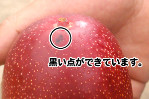 黒い点ができています