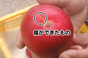 傷ができたもの