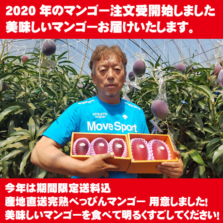 2020年のマンゴーの注文受け付け開始しました。