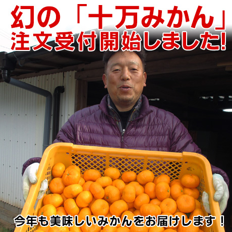 幻の「十万みかん」の2025年度の注文受付開始しました！