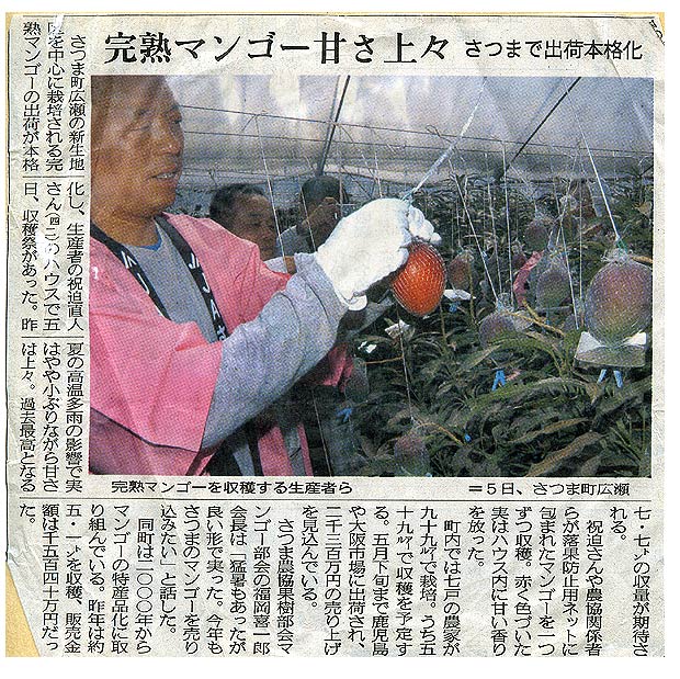 南日本新聞