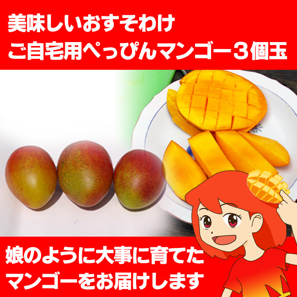 画像1: 美味しいおすそわけ ご自宅用ぺっぴんマンゴー3個玉 (1)