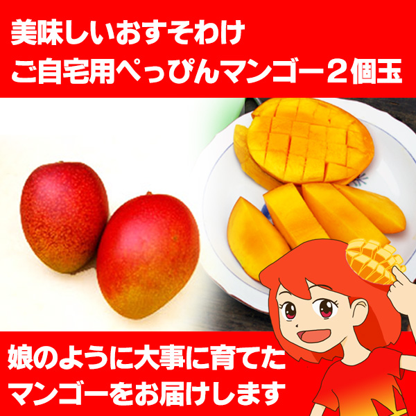 画像1: 美味しいおすそわけ ご自宅用ぺっぴんマンゴー2個玉 (1)