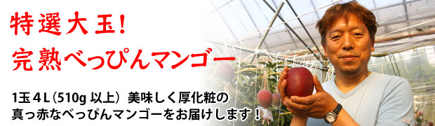 特選大玉！完熟ぺっぴんマンゴー